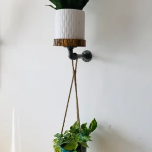 Plant Shelf