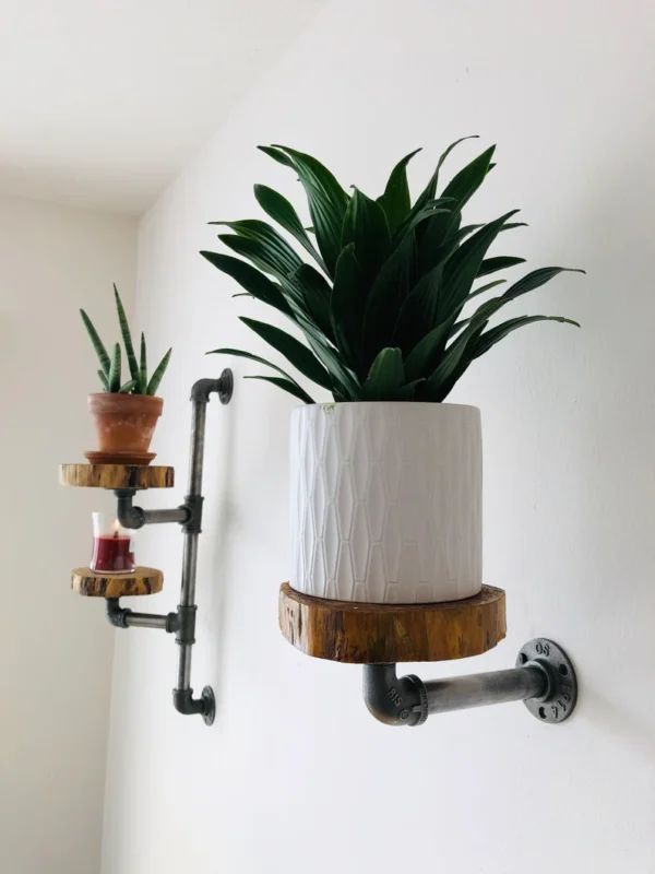 Natural Rustic Industrial Pipe & Wood Plant Shelf