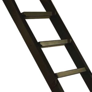 Painted-ladder