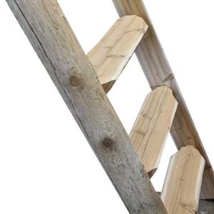 Raw-Ladder